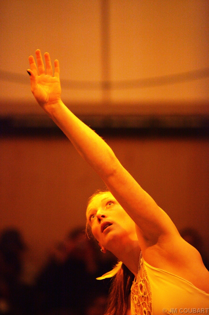 Diapositive suivante